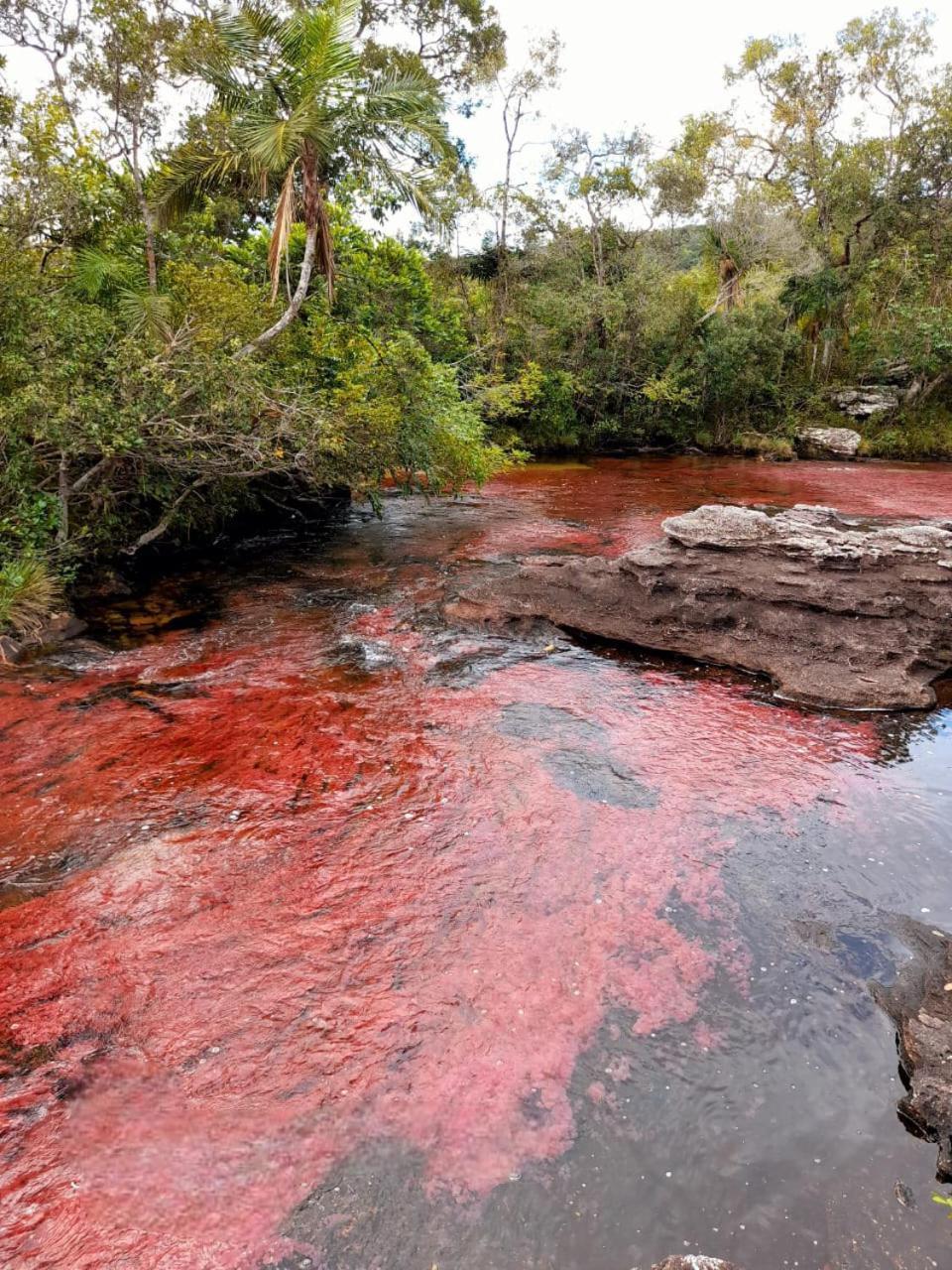 Hotel Ecologico Makalombia La Macarena المظهر الخارجي الصورة