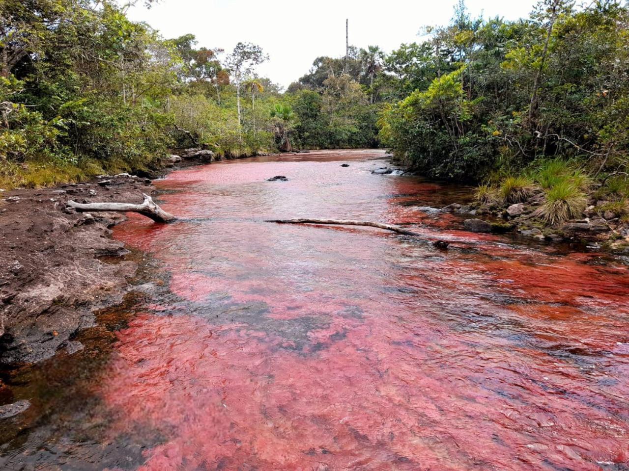 Hotel Ecologico Makalombia La Macarena المظهر الخارجي الصورة