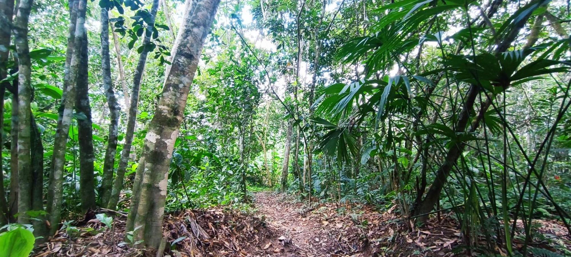 Hotel Ecologico Makalombia La Macarena المظهر الخارجي الصورة