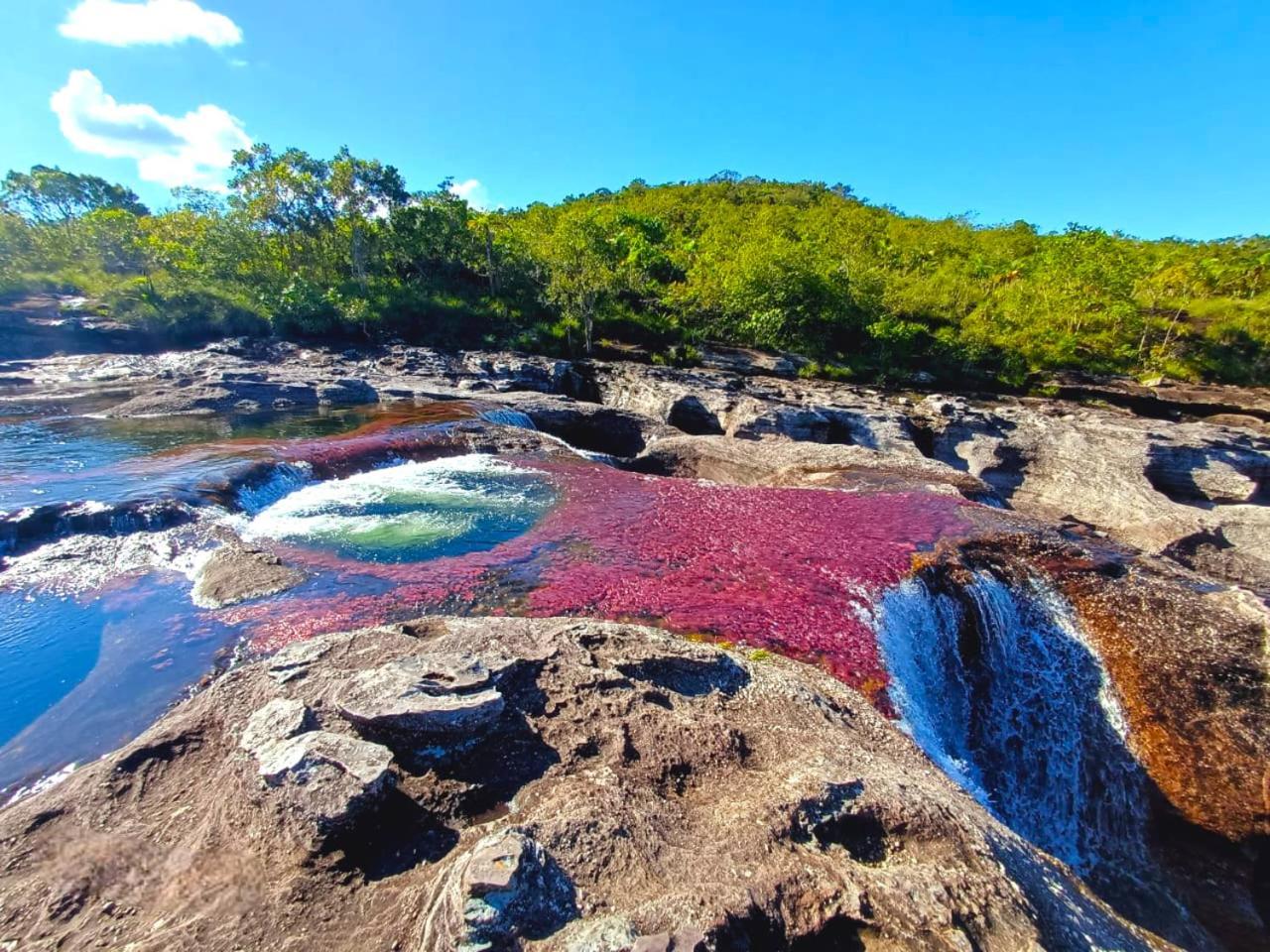 Hotel Ecologico Makalombia La Macarena المظهر الخارجي الصورة