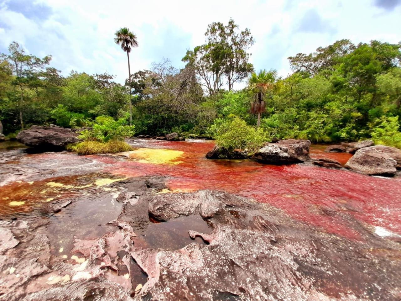 Hotel Ecologico Makalombia La Macarena المظهر الخارجي الصورة