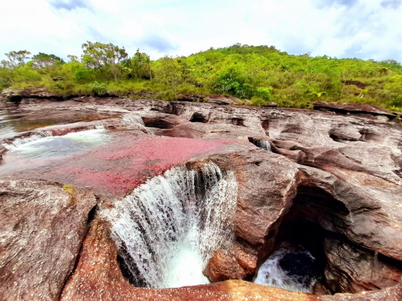 Hotel Ecologico Makalombia La Macarena المظهر الخارجي الصورة