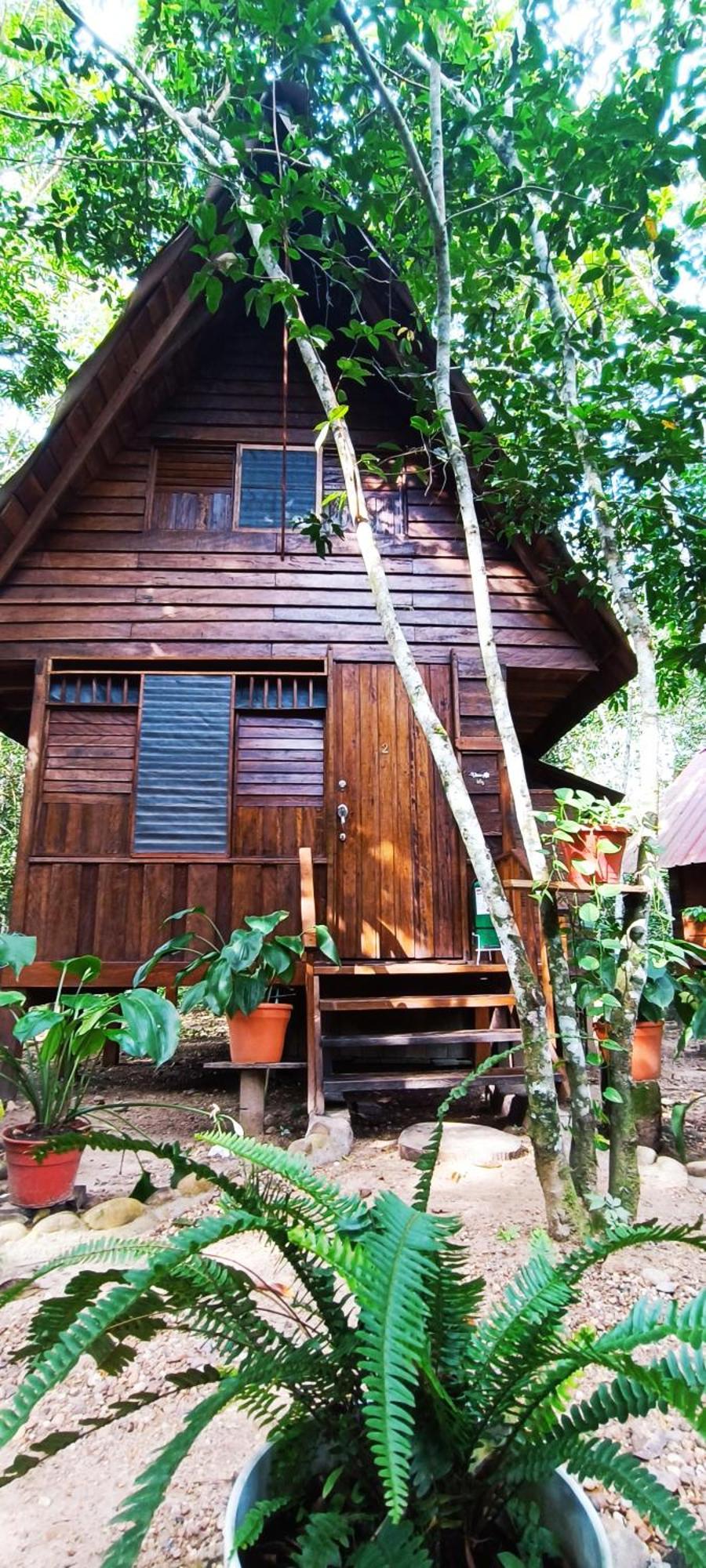 Hotel Ecologico Makalombia La Macarena المظهر الخارجي الصورة